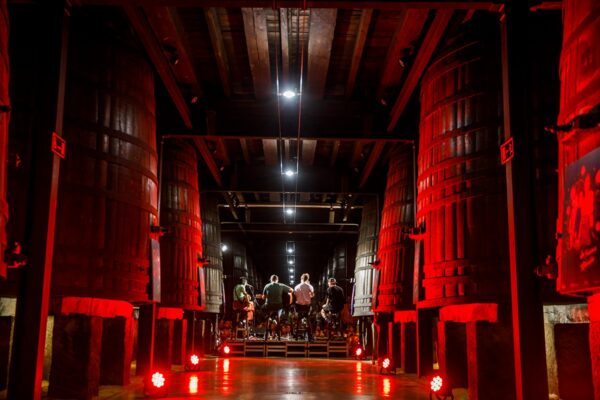 Sábado MUWI 22_305843104_1867583636779522_3703171094203855873_n_1867583653446187