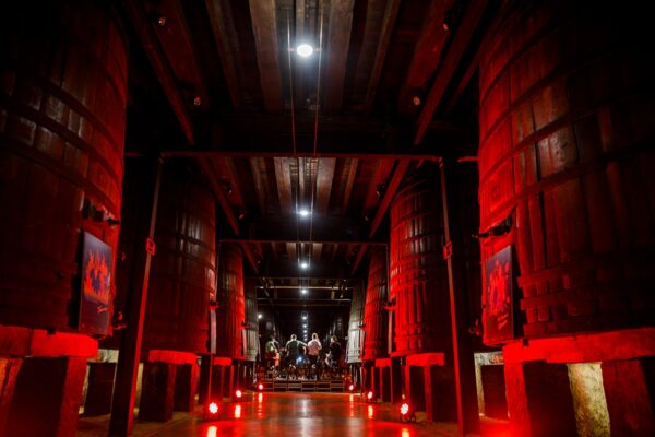 Sábado MUWI22 305546222_1867583733446179_5651681489987661509_n_1867583740112845