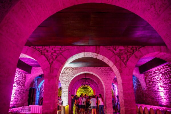 Sábado MUWI22 305617123_1867584810112738_8280441474984841125_n_1867584813446071