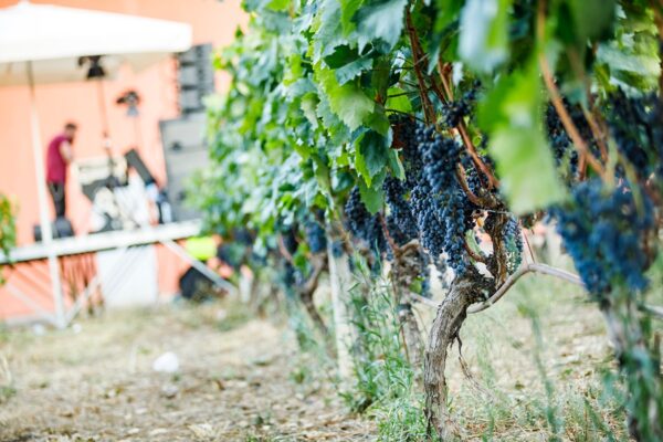 Sábado MUWI22 305650099_1867584060112813_8574470617736744539_n_1867584063446146