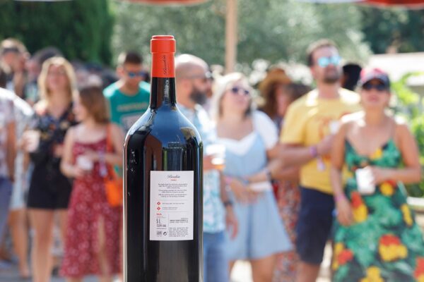 Sunday MUWI22 305469515_1867602186777667_3293593889638477073_n_1867602193444333