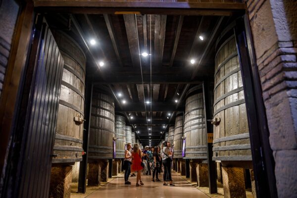 Viernes MUWI22 305496329_1867552126782673_7210192170779640904_n_1867552136782672